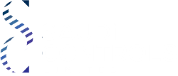 Saudi Controls