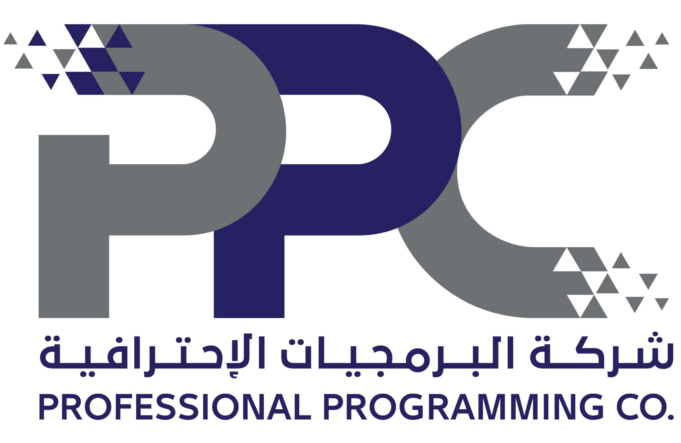 Professional Programming Co.